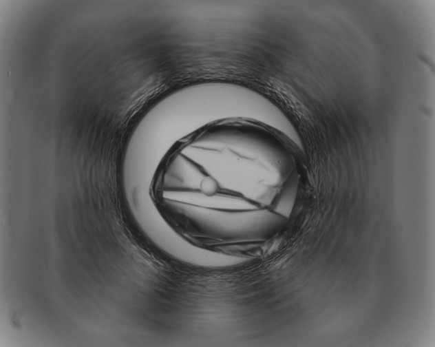 X0000091210696200708301428