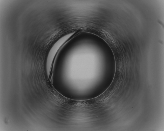 X0000091210697200708301428