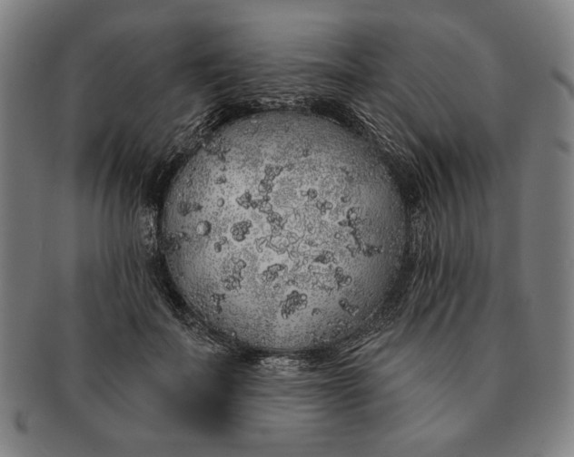 X0000091210699200708301428