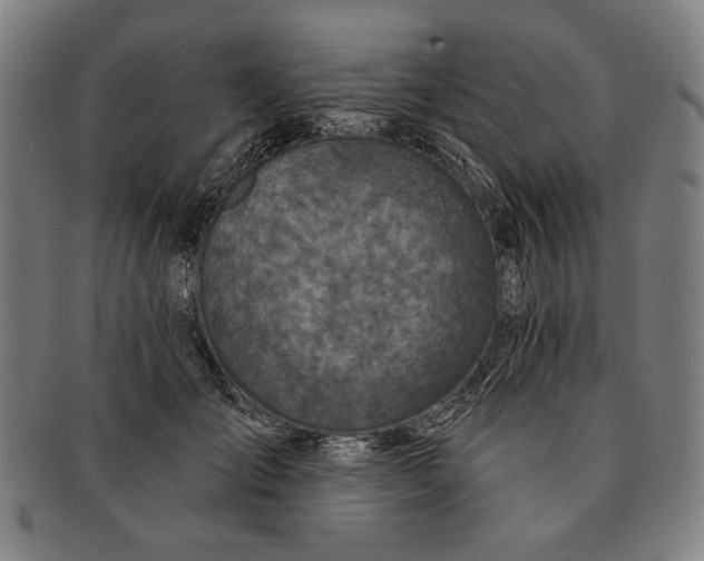 X0000091210701200708301428