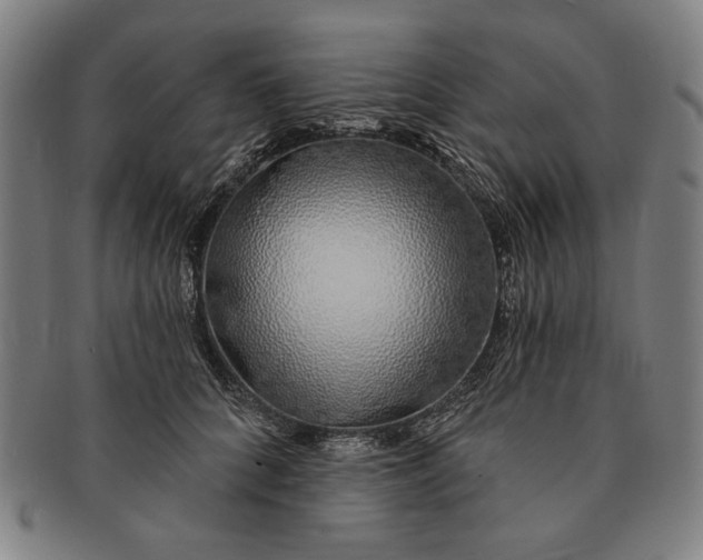 X0000091210704200708301428