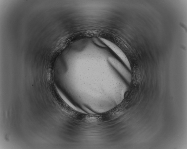 X0000091210706200708301428