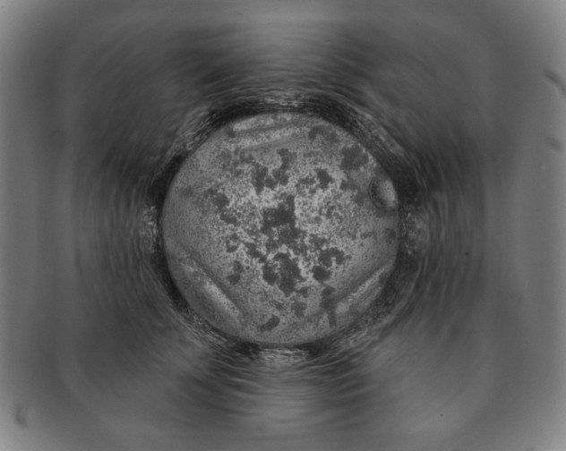 X0000091210707200708301428