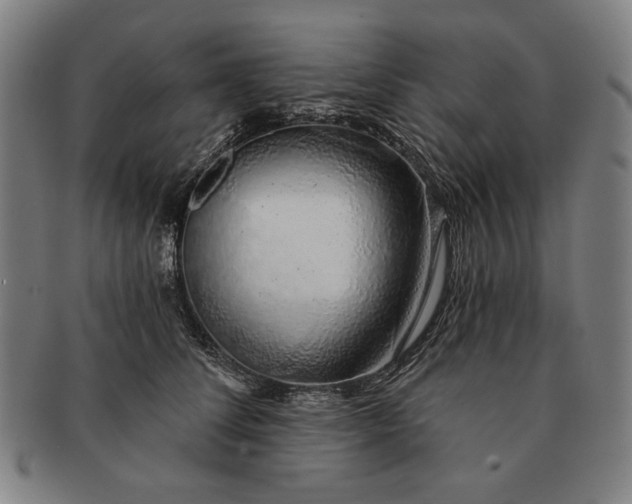 X0000091210708200708301428