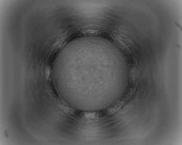 X0000091210709200708301428