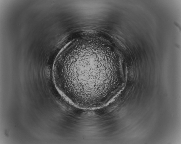 X0000091210715200708301428