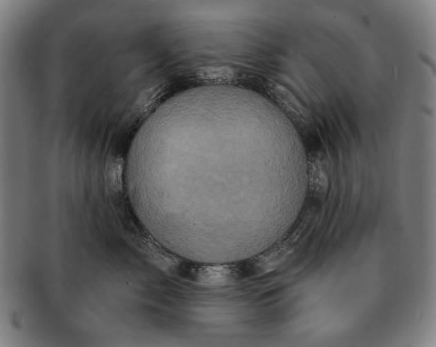 X0000091210717200708301428