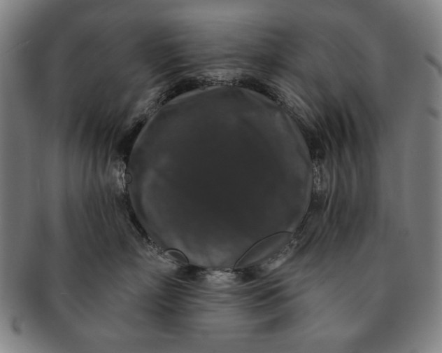 X0000091210718200708301428