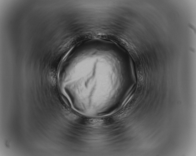 X0000091210719200708301428