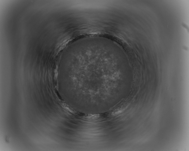 X0000091210720200708301428