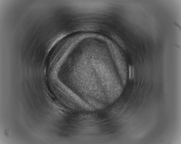 X0000091210723200708301427