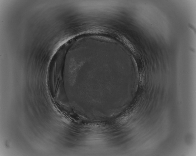 X0000091210724200708301427