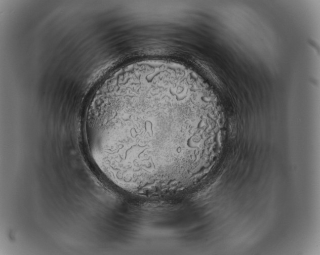 X0000091210725200708301427