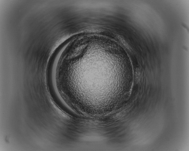 X0000091210726200708301427