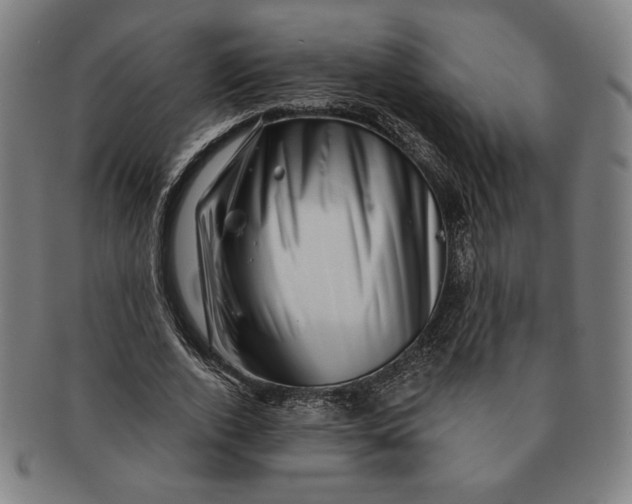 X0000091210728200708301427