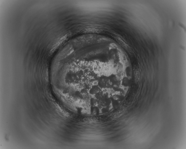 X0000091210729200708301427