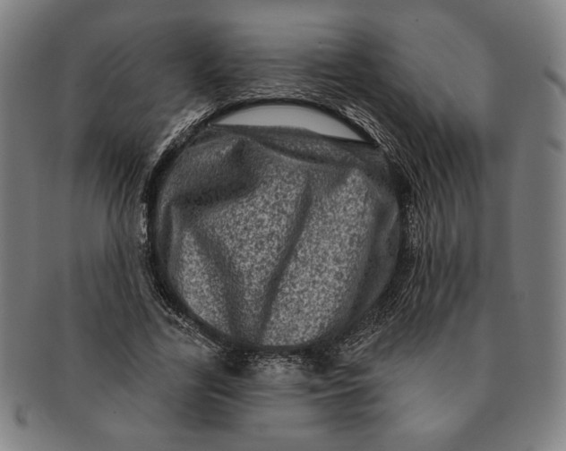 X0000091210731200708301427