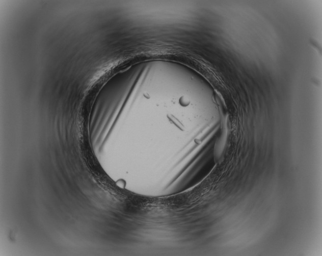 X0000091210732200708301427