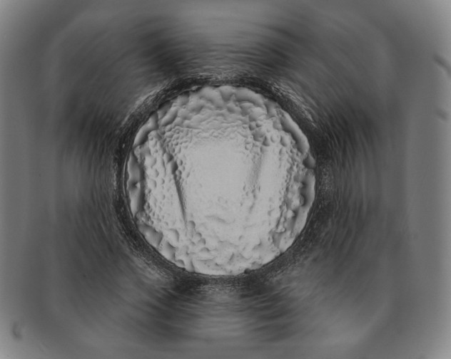 X0000091210733200708301427