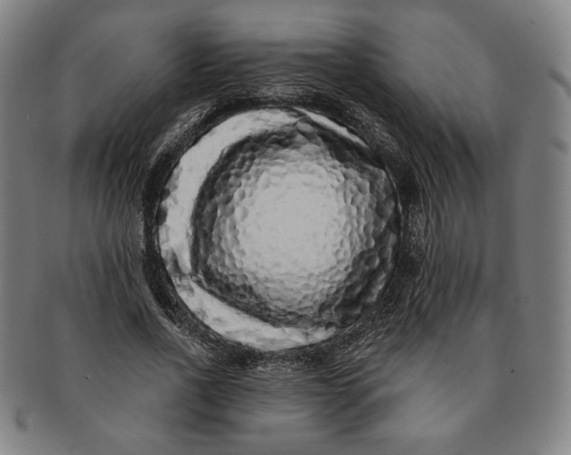 X0000091210734200708301427