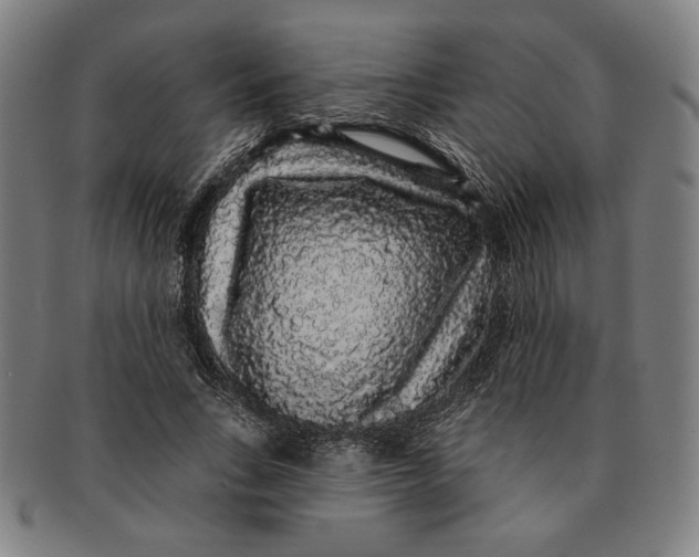 X0000091210735200708301427