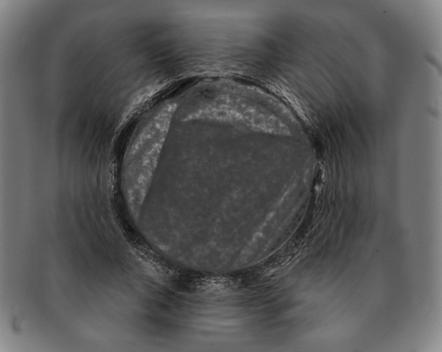 X0000091210736200708301427