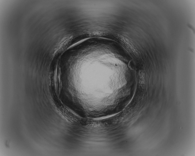 X0000091210738200708301428