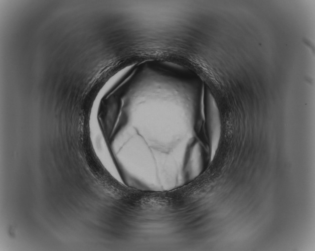 X0000091210739200708301428