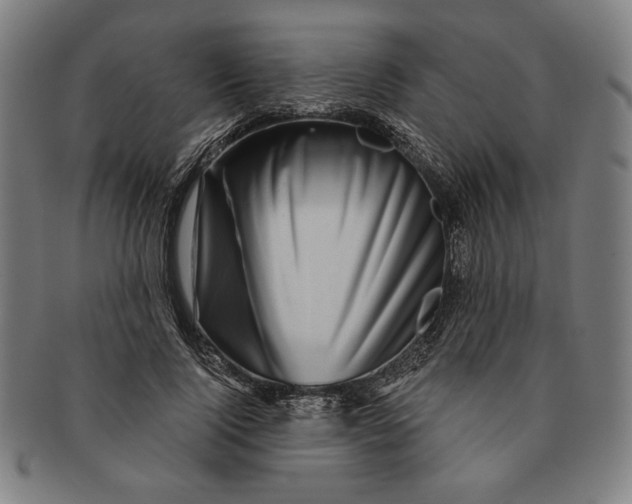 X0000091210740200708301428