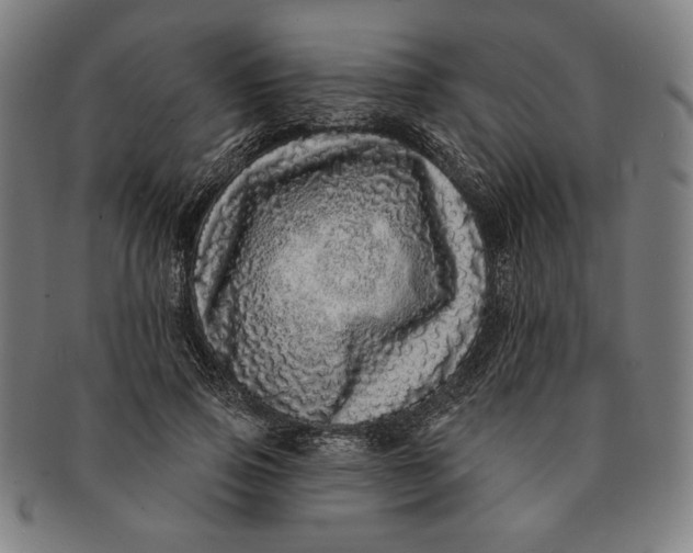 X0000091210741200708301428