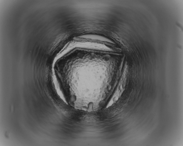 X0000091210742200708301428