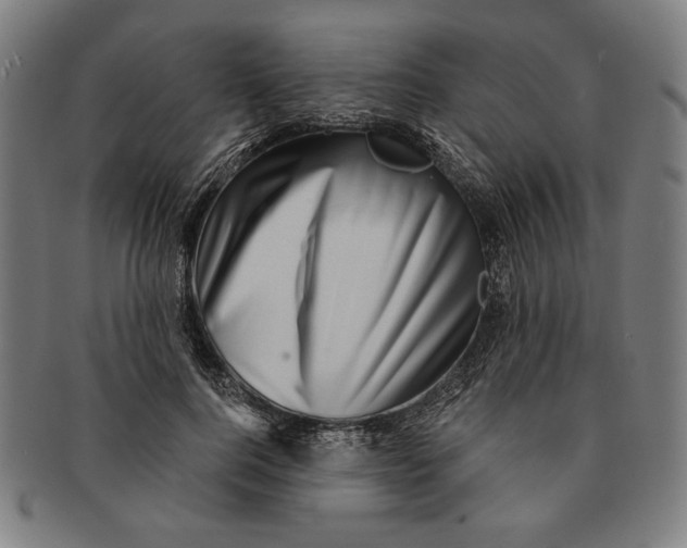 X0000091210744200708301428