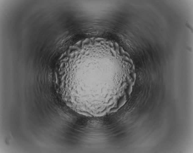 X0000091210745200708301428