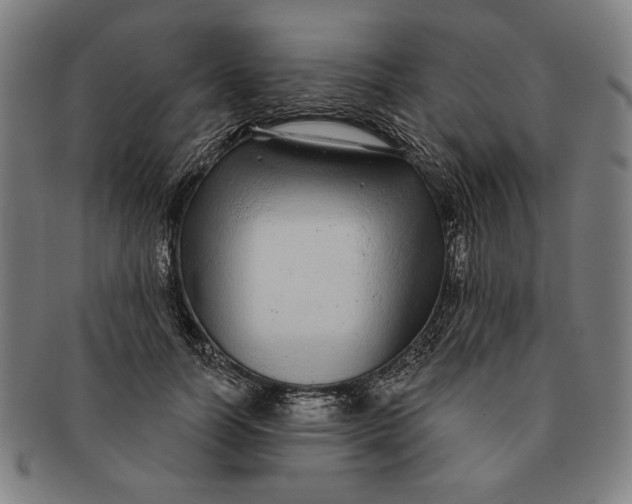 X0000091210746200708301428