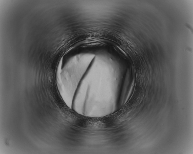 X0000091210747200708301428