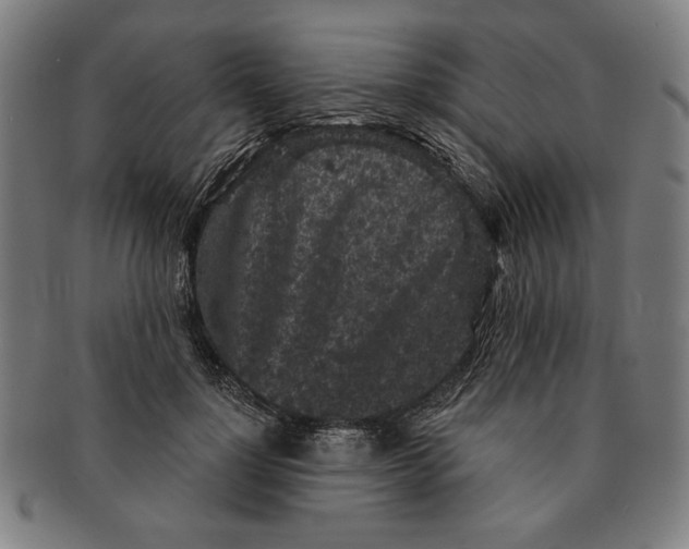 X0000091210748200708301428