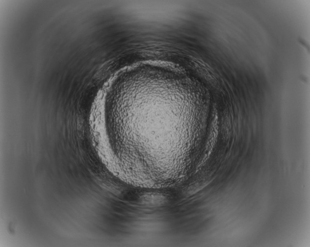 X0000091210749200708301428