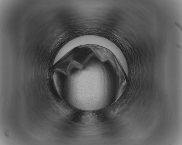 X0000091210750200708301428