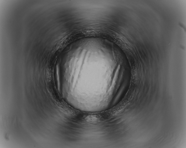 X0000091210751200708301428