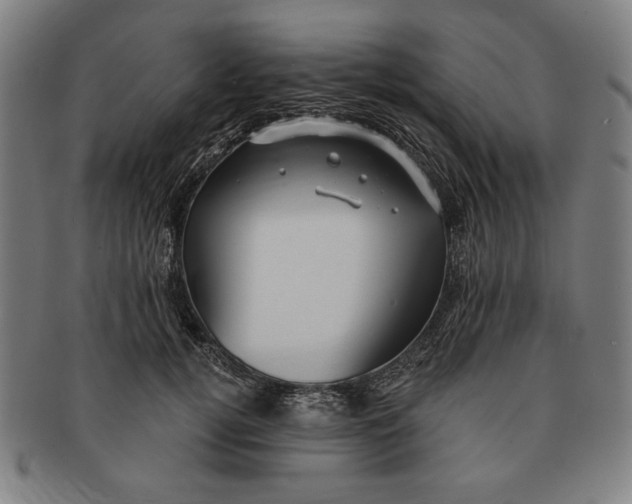 X0000091210752200708301428