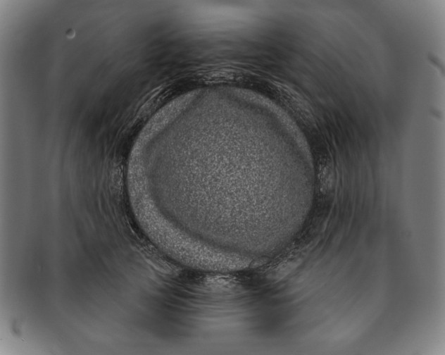 X0000091210753200708301428