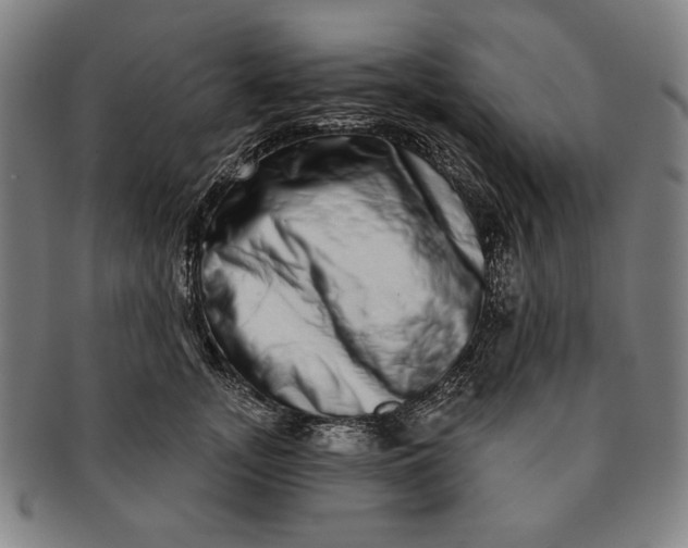 X0000091210755200708301428