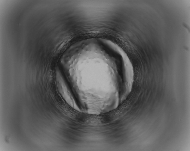 X0000091210758200708301428