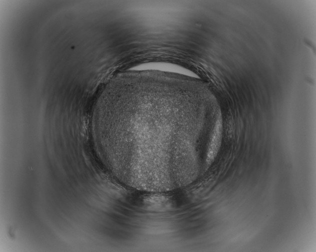 X0000091210759200708301428