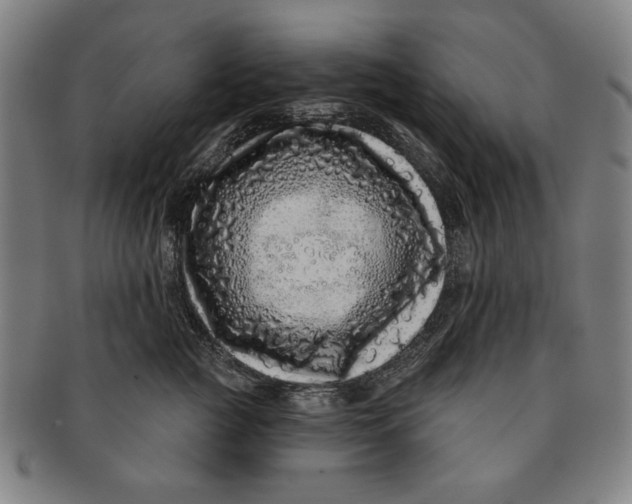 X0000091210761200708301428