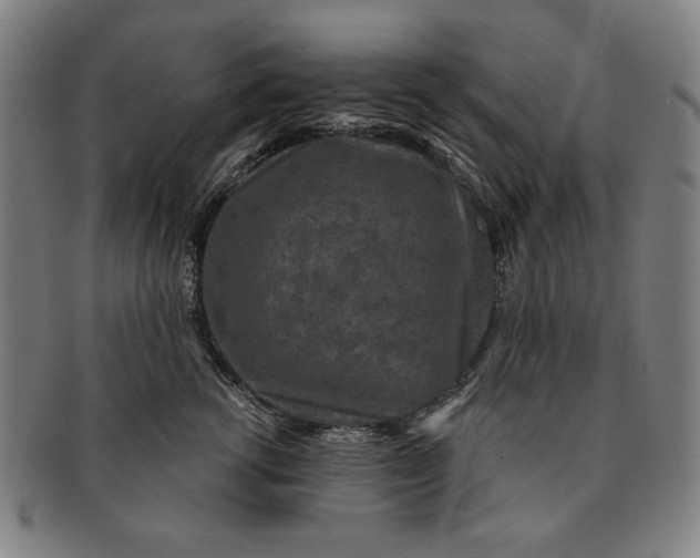 X0000091210762200708301428