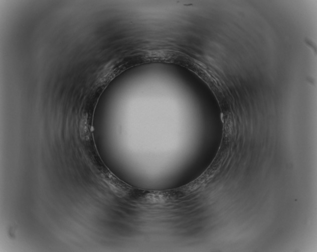 X0000091210764200708301428