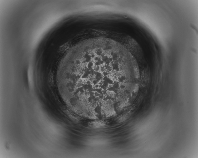 X0000091210765200708301428