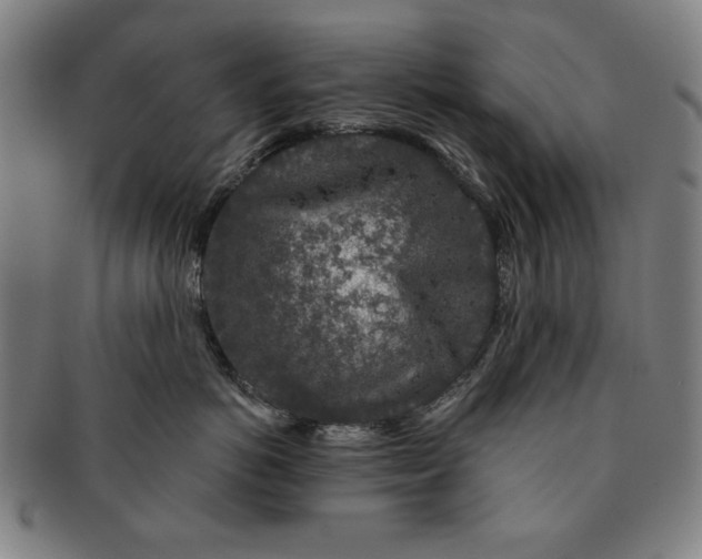 X0000091210766200708301428