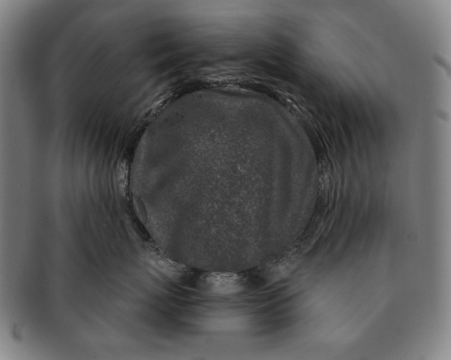 X0000091210767200708301428